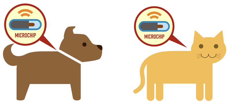 microchipping-your-pet